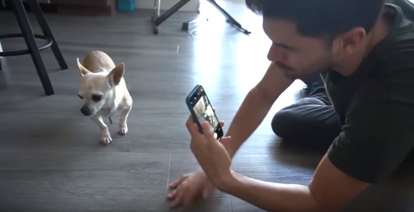 Germán Garmendia rescató a Poppy