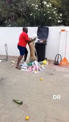 Hombre regaña a su mascota Firuslai