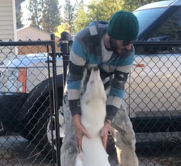 Perro ciego y sordo recibe a su dueño