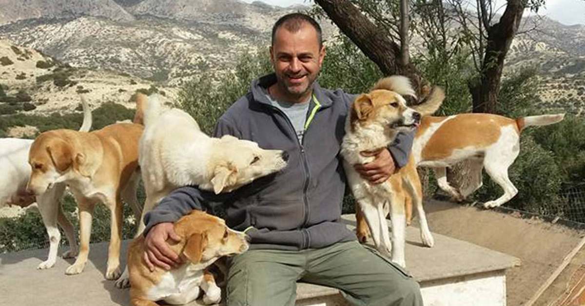 Dentista rescata a 200 perros abandonados