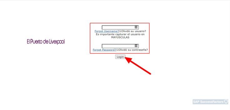 Success Factors Liverpool
